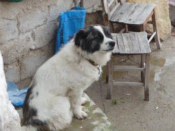 P1040617.JPG 3456x2592 index 373